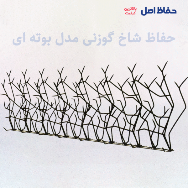 حفاظ شاخ گوزنی بوته ای