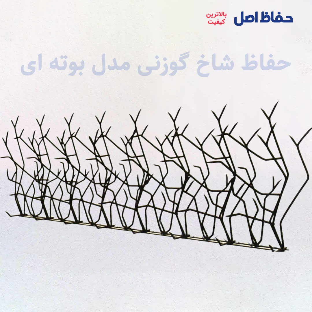حفاظ شاخ گوزنی بوته ای حفاظ شاخ گوزنی بوته ای