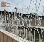 حفاظ شاخ گوزنی دیواری