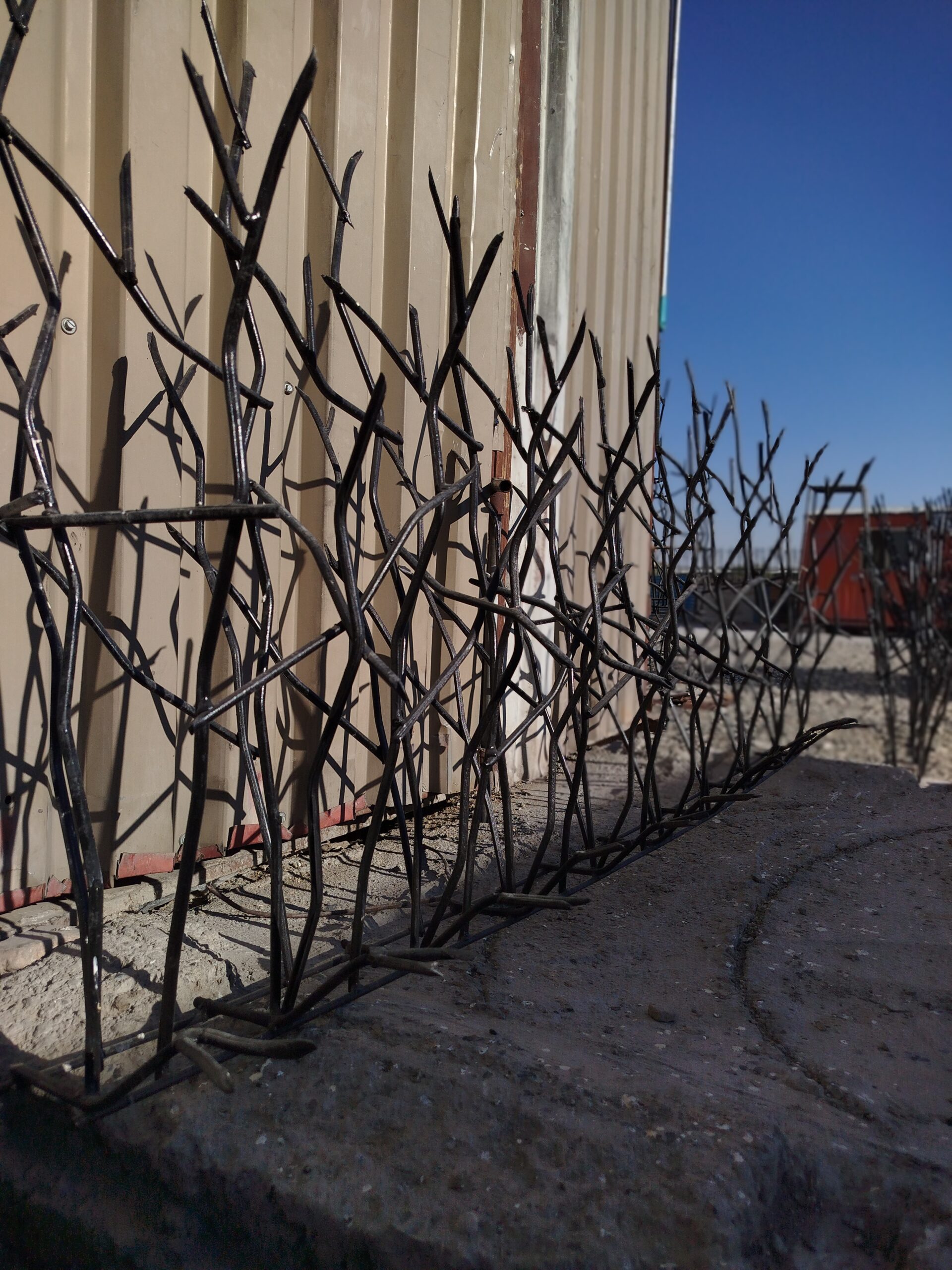 IMG_20251027_150122 حفاظ شاخ گوزنی ارتفاع 100 تراکم 64(ویژه حفاظ اصل) - تصویر 1