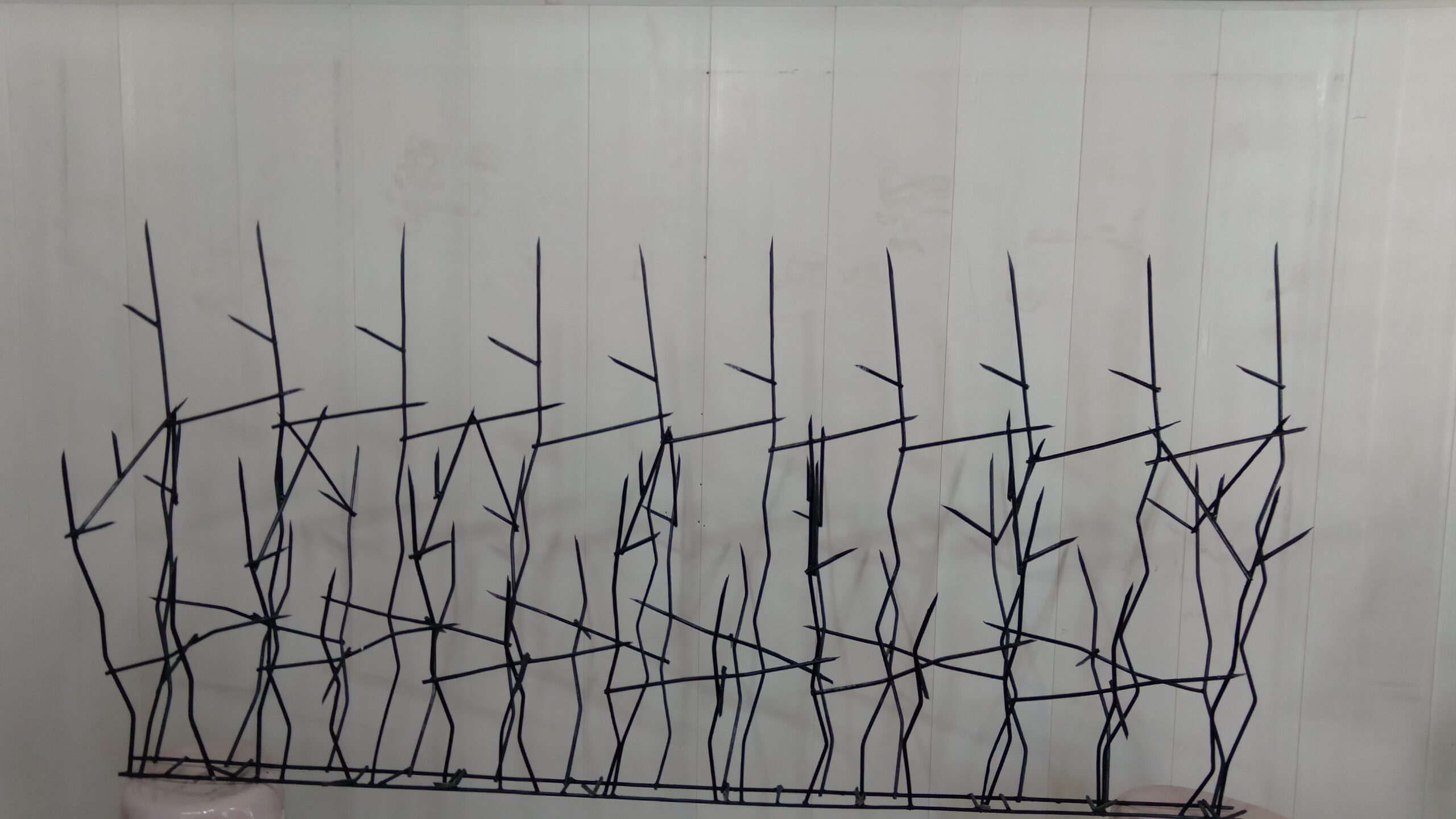 ۲۰۲۳۰۸۱۶_۱۳۲۸۲۴ حفاظ شاخ گوزنی ارتفاع 120 تراکم 26 - تصویر 1